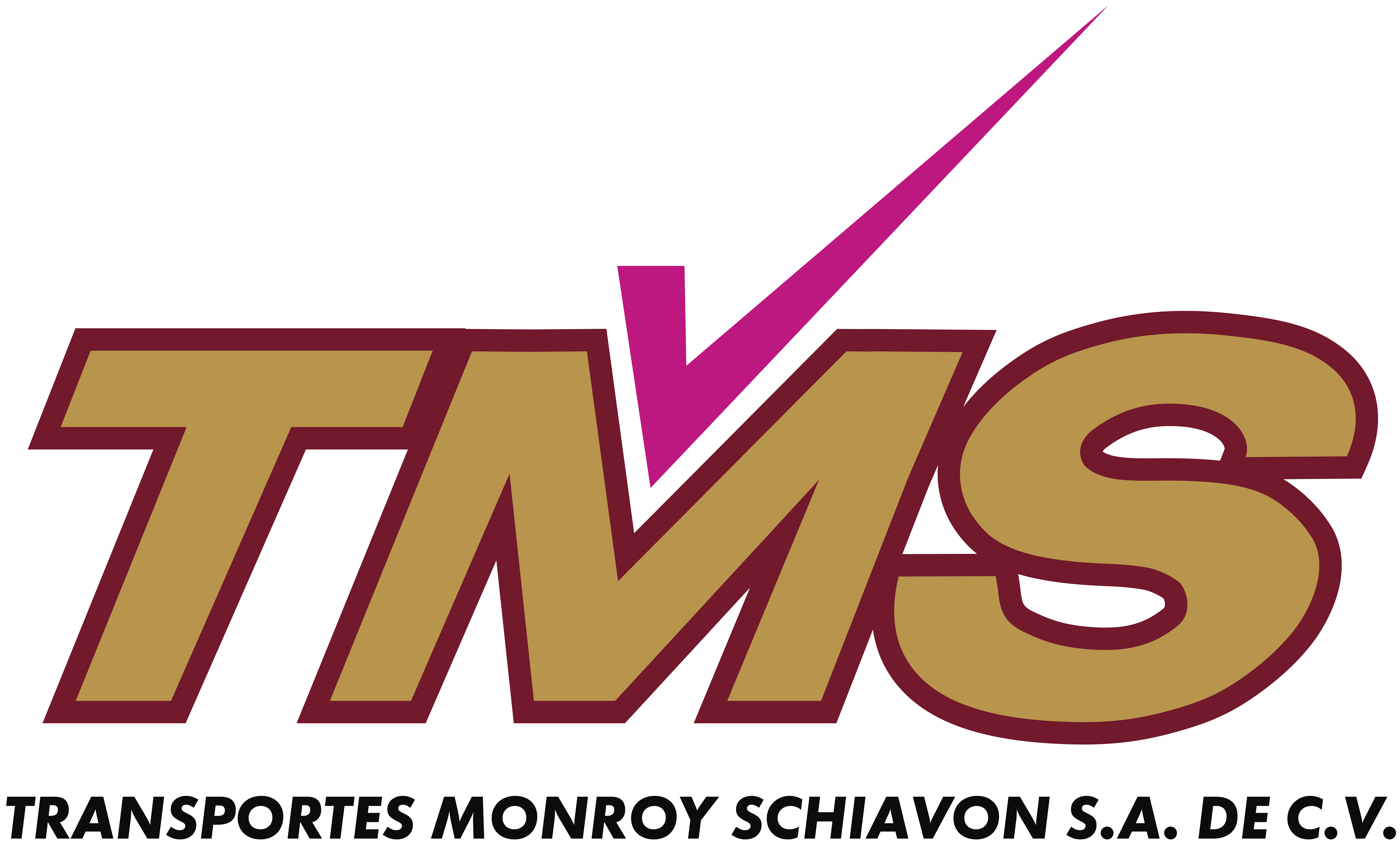 TMS